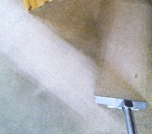 Carpet Cleaner Doncaster showing a big cross made in the carpet with a carpet cleaning wand.